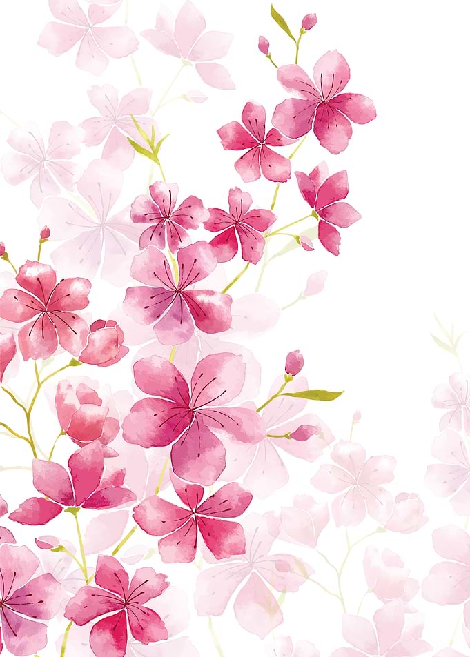 Cheery Blosom