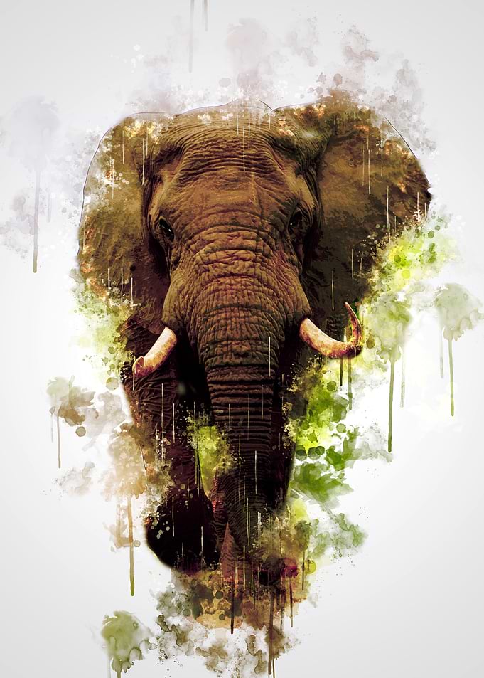 Mighty Elephant