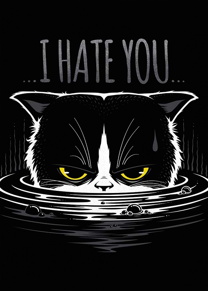 I HATE YOU