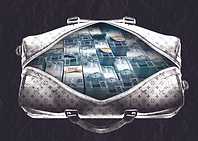 Brazilian Money Bag V1