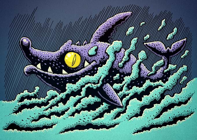 Shark