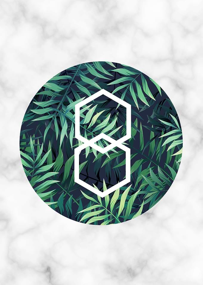 Geometric - tropical I