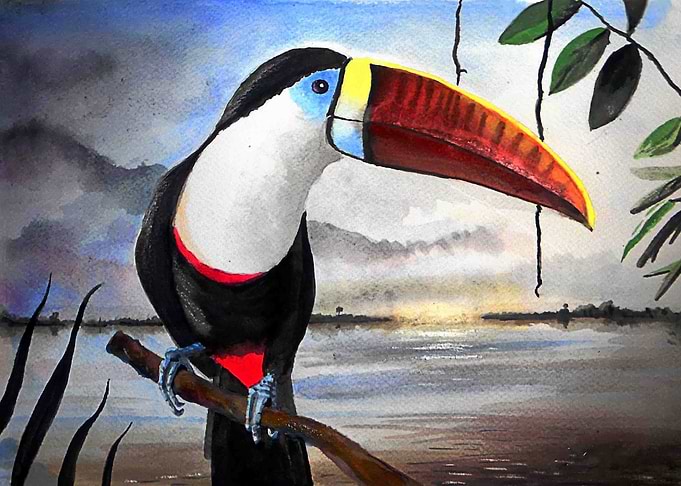 Toucan