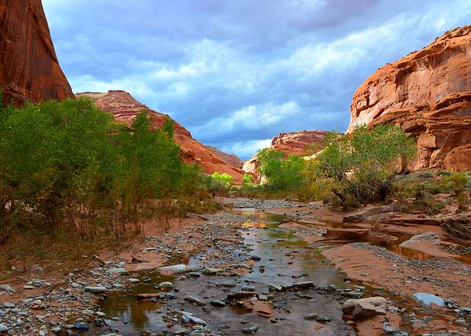 Canyon wilderness