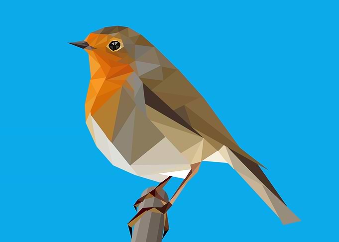 Robin