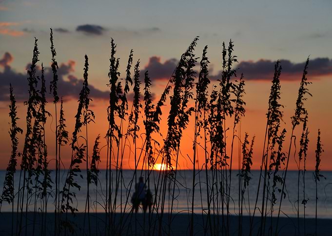 Together at sunset