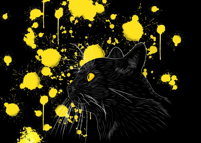 Black Cat