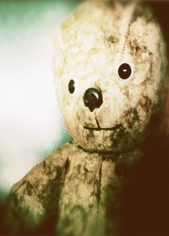 My 1st Teddy 1964