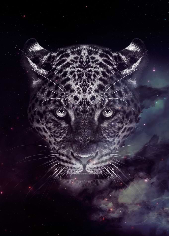 Galaxy jaguar wallpaper