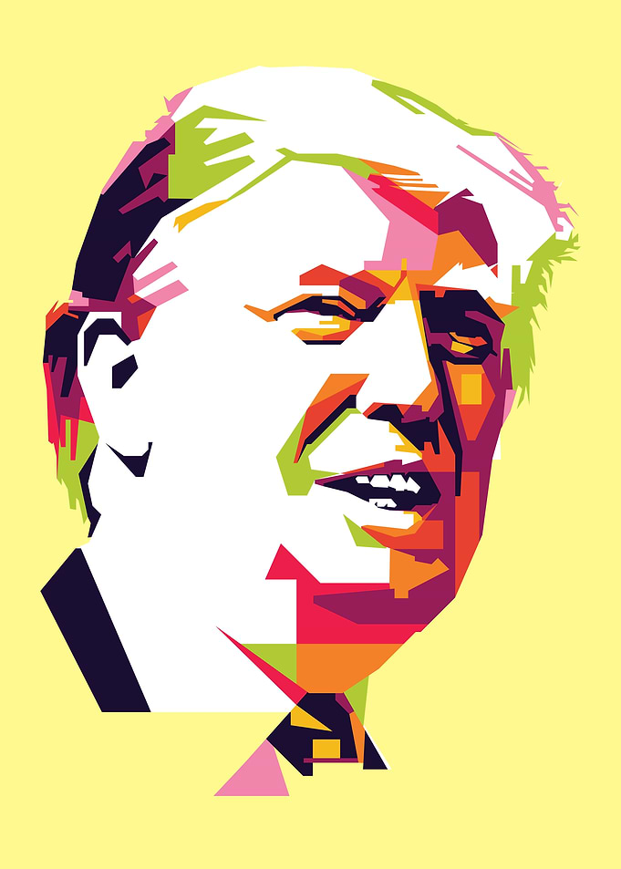 Donald Trump Portrait