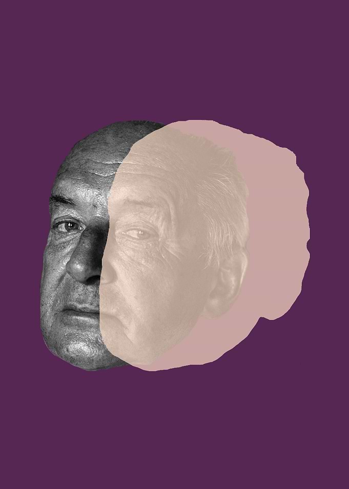 Vladimir Nabokov Mauve