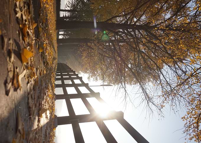 Autumn Morning