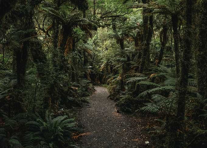South Island New Zealand