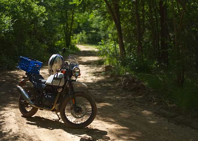 Motorcycle in the Woods