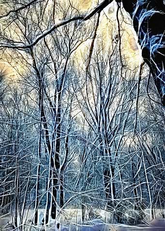 4 Oclock Winter Landscape
