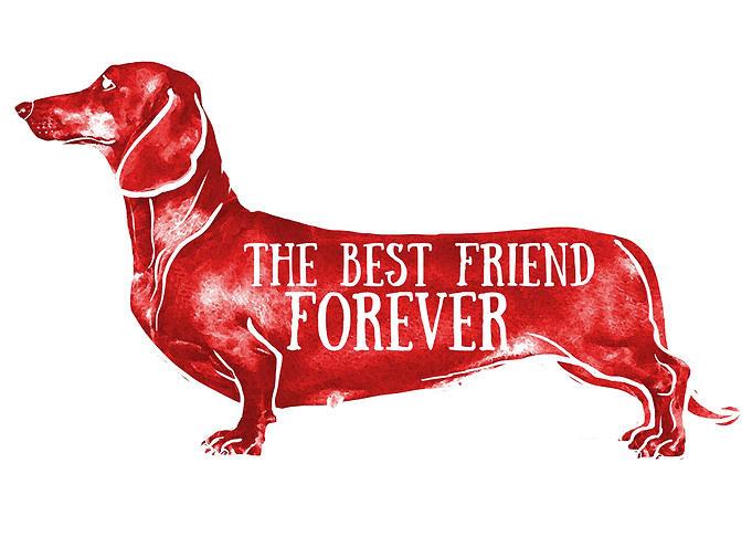 Best Friend
