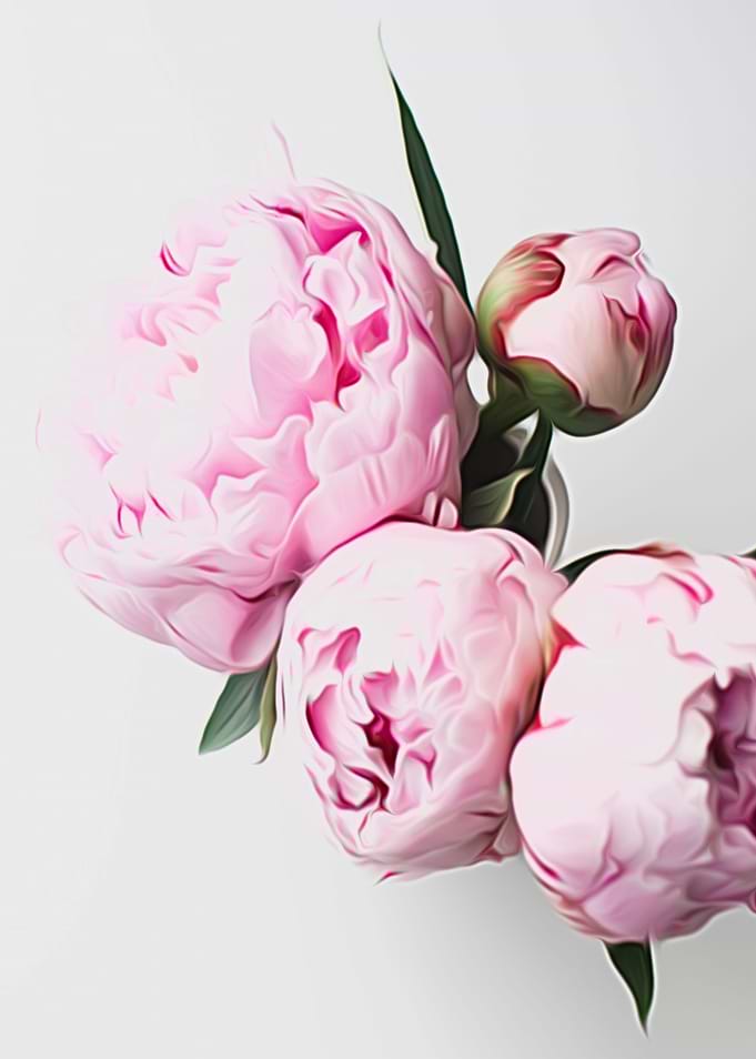 Vase of Peonies