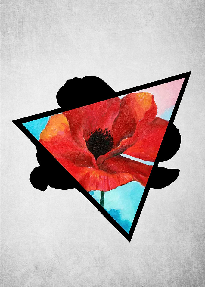 Poppy Dreams Triangle