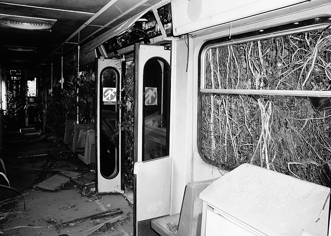 Abandoned Wagon