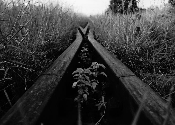 Life on the line 2