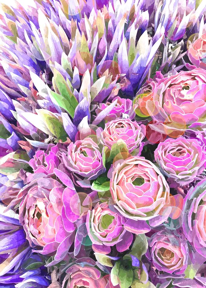 Colorful Cactus