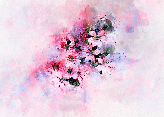Dream flowers