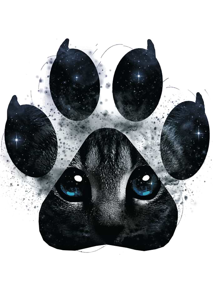Pawn Cat