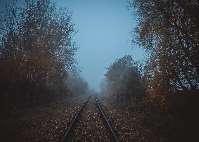 The Fog