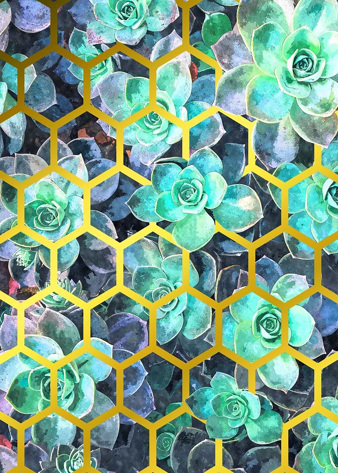 Succulents Geometric