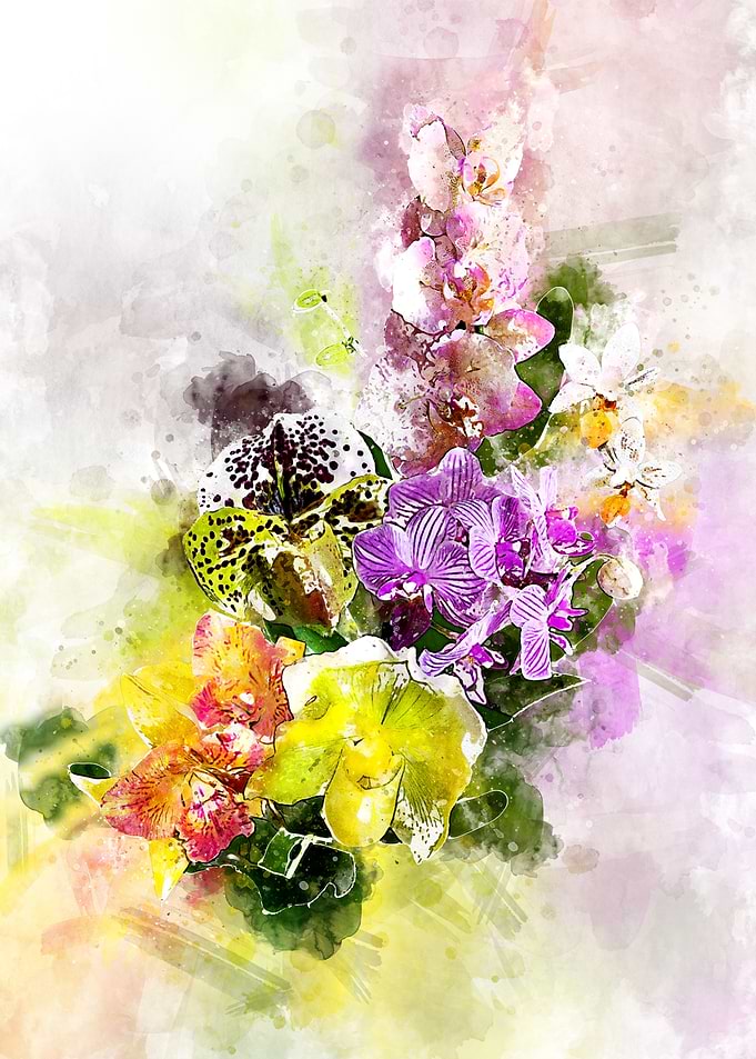 Orchidarium