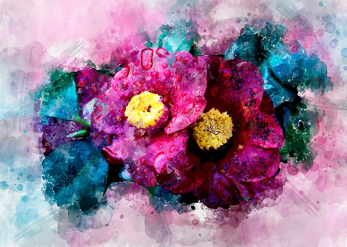 Rain drops on flowers