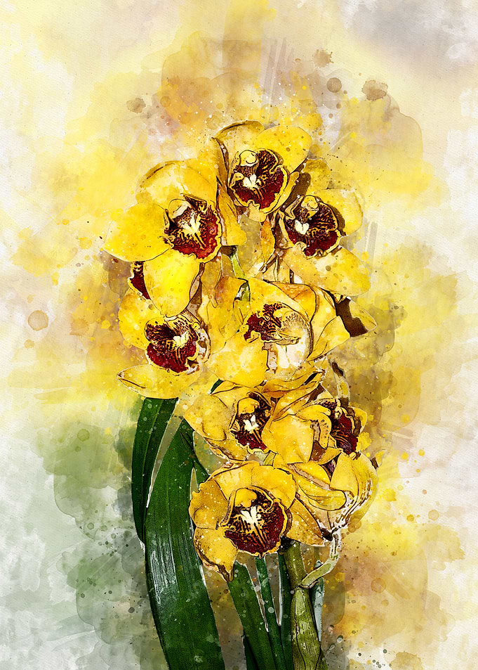 Orchids