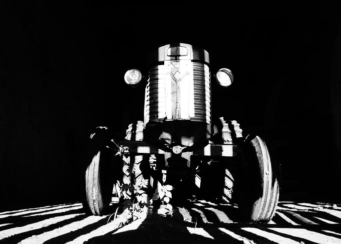 Monster in the Dark