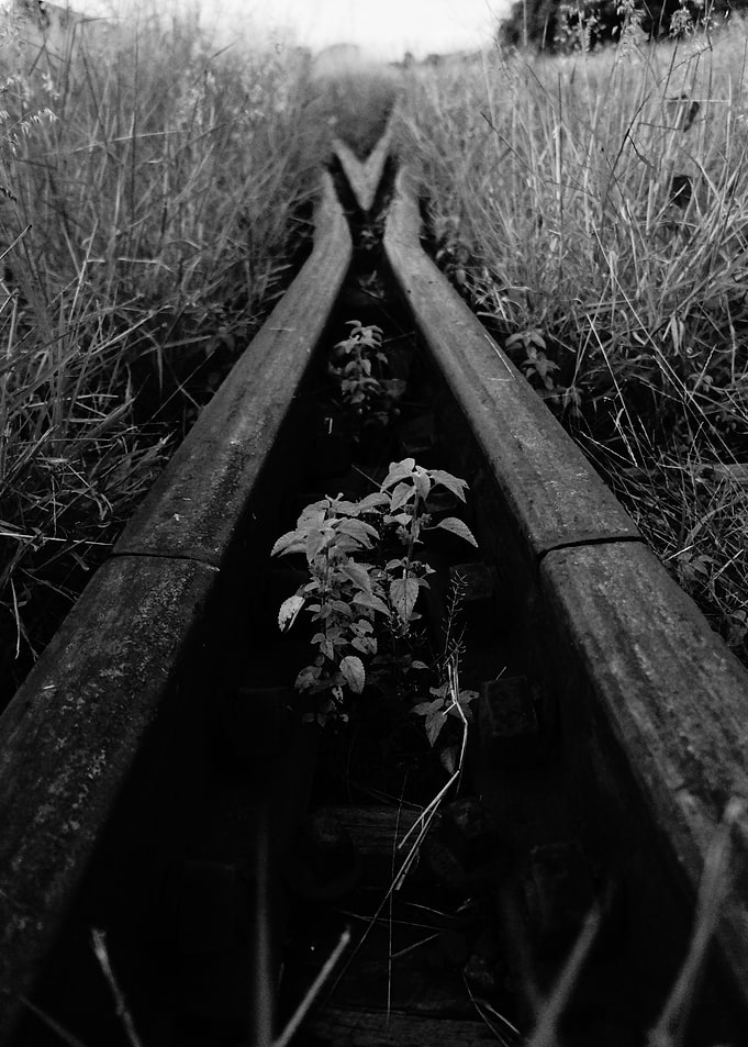 Life on the line