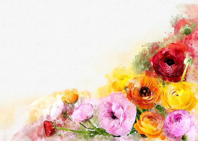 Ranunculus
