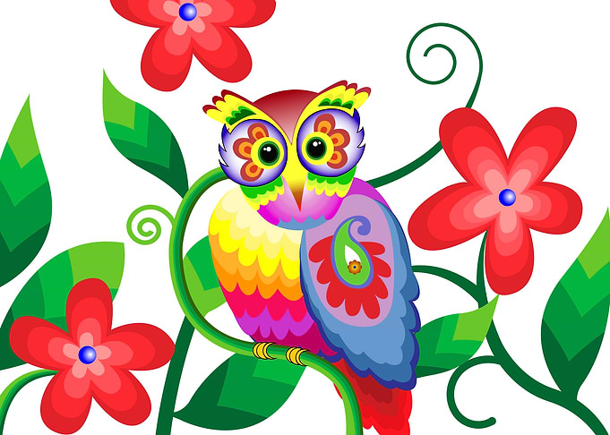 owl