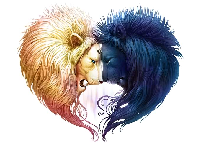 Day and Night