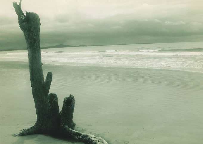 SEASIDE SOLIDANCE