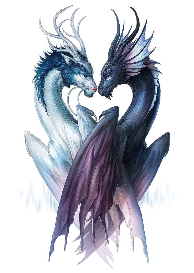 Yin and Yang Dragons