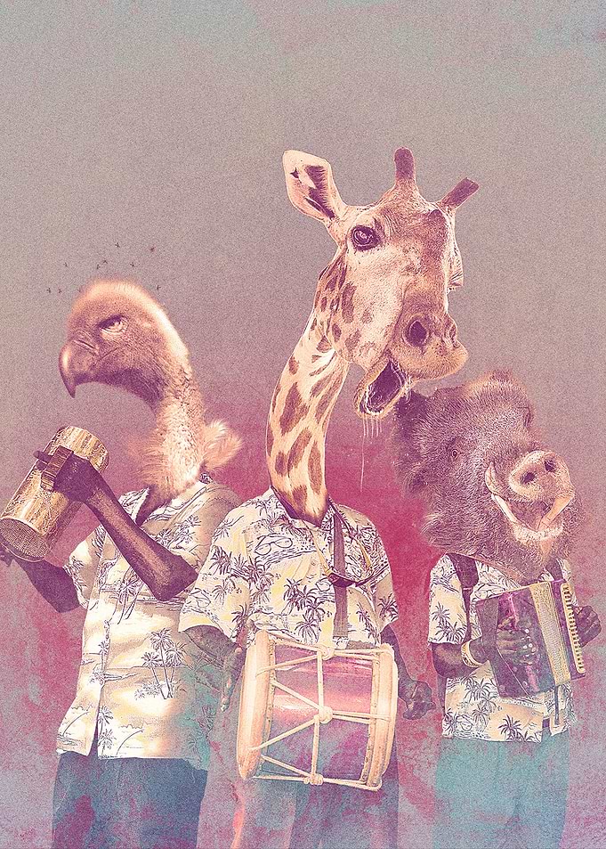 Animal