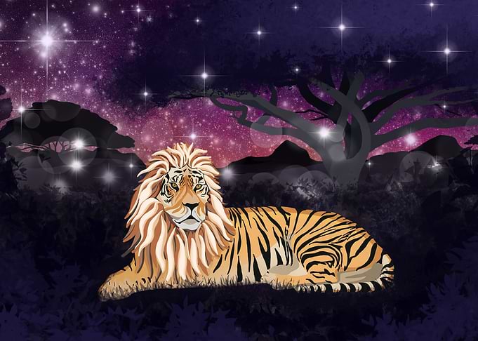 Liger