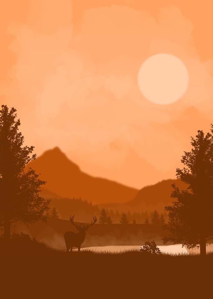 Before Sunset