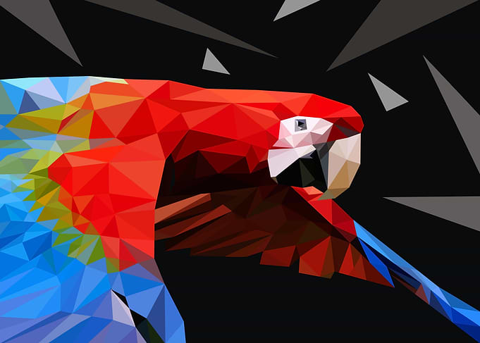 MACAW LOW POLY TRIANGLE