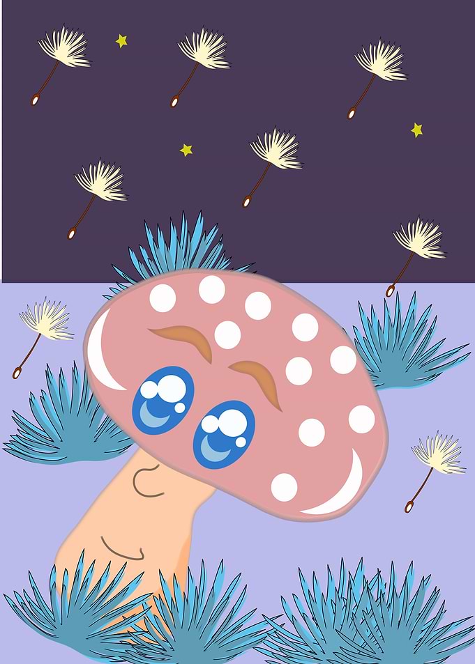 Peaceful Night