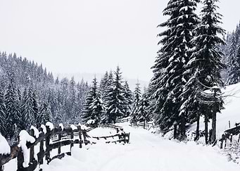 WhiteRoad