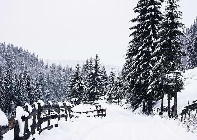 WhiteRoad