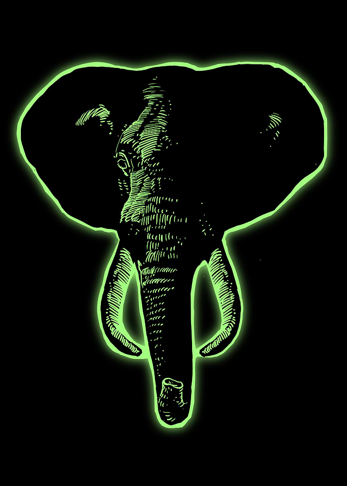 Elephant Light2