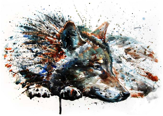 Wolf watercolor