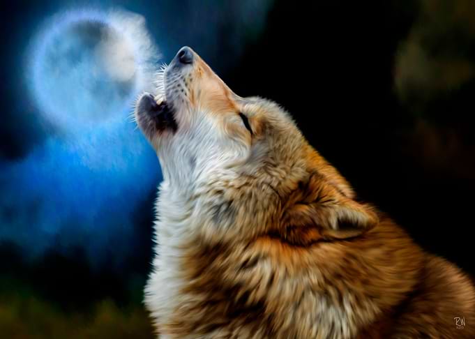 Call of the Wild
