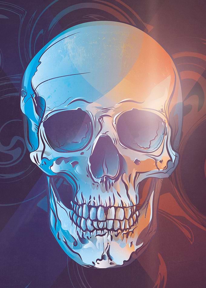 VECTOR SKULL
